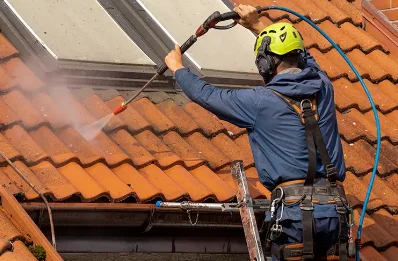 Démoussage et hydrofuge de toiture à Massignac